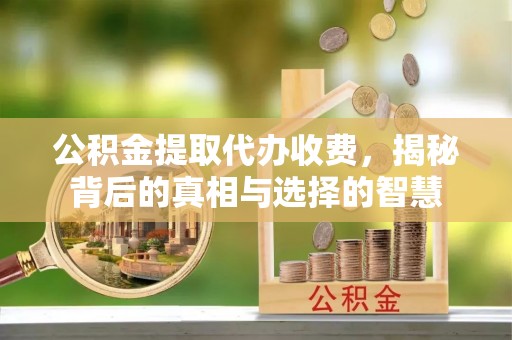 三角公积金提取代办收费，揭秘背后的真相与选择的智慧