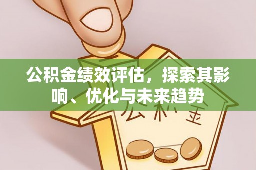 三角公积金绩效评估，探索其影响、优化与未来趋势