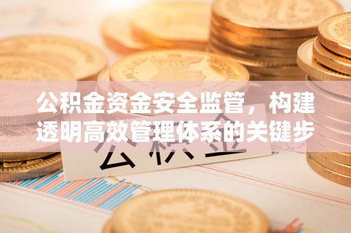 三角公积金资金安全监管，构建透明高效管理体系的关键步骤
