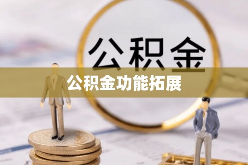 三角公积金功能拓展