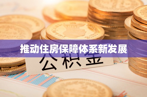 三角推动住房保障体系新发展