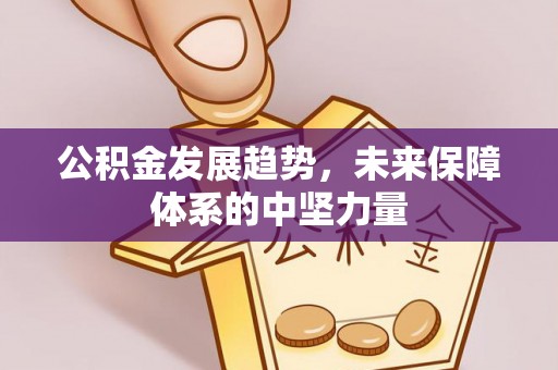 三角公积金发展趋势，未来保障体系的中坚力量
