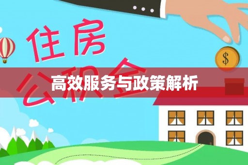 三角高效服务与政策解析