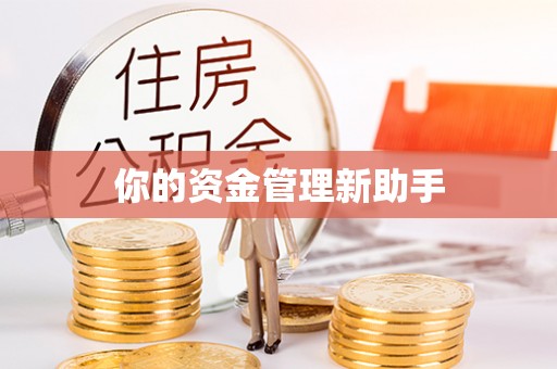 三角你的资金管理新助手