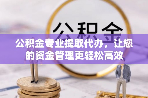 三角公积金专业提取代办，让您的资金管理更轻松高效