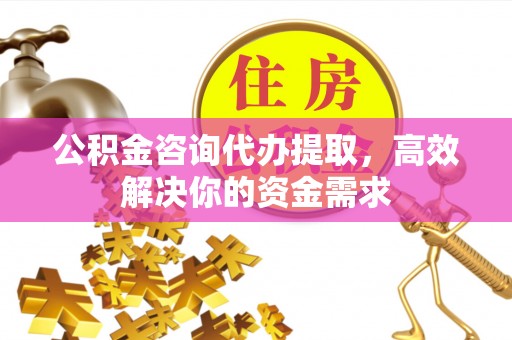 三角公积金咨询代办提取，高效解决你的资金需求