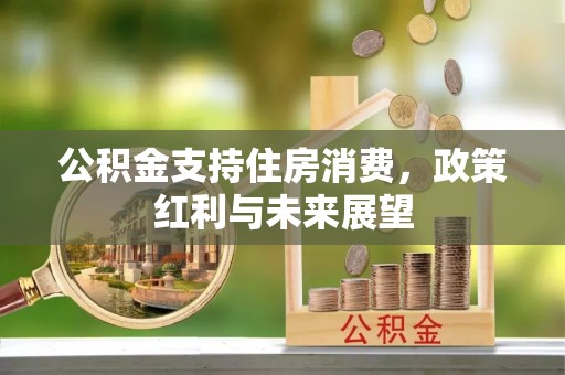 三角公积金支持住房消费，政策红利与未来展望