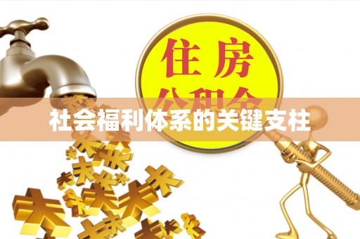 三角社会福利体系的关键支柱