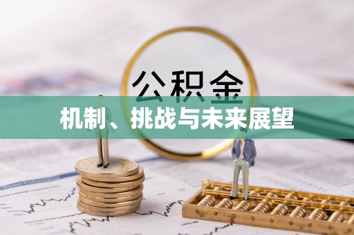 三角机制、挑战与未来展望