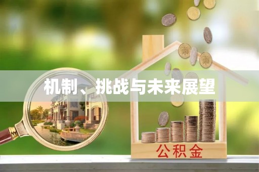 三角机制、挑战与未来展望